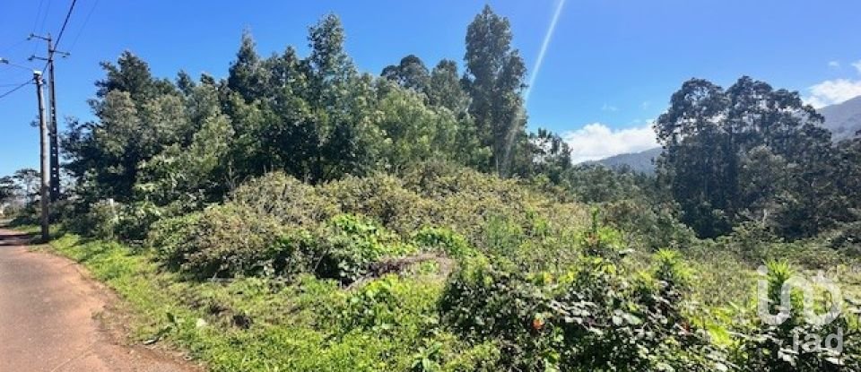 Terrain à bâtir à São Jorge de 1 560 m²