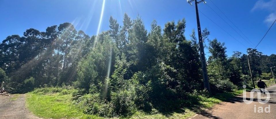 Terrain à bâtir à São Jorge de 1 560 m²