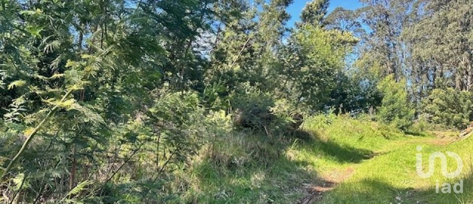 Terrain à bâtir à São Jorge de 1 560 m²