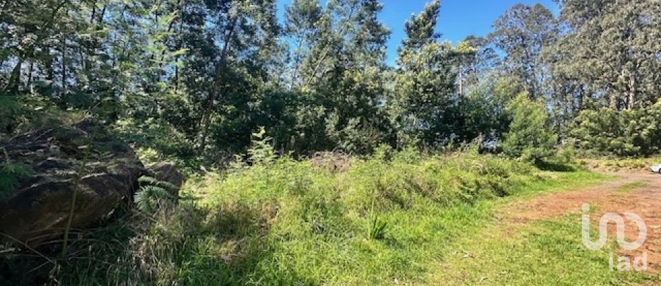 Terrain à bâtir à São Jorge de 1 560 m²