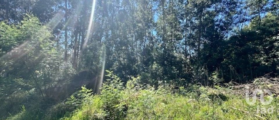 Terrain à bâtir à São Jorge de 1 560 m²