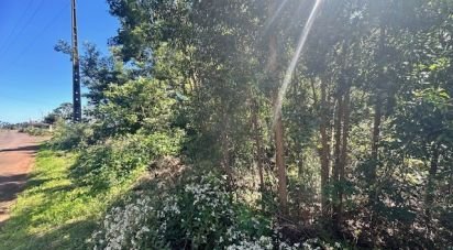 Terrain à bâtir à São Jorge de 1 520 m²