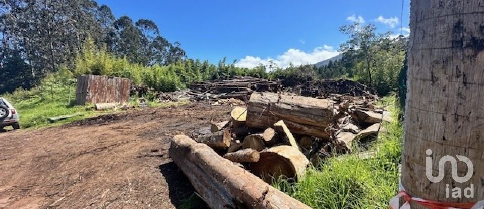 Terrain à bâtir à São Jorge de 1 520 m²