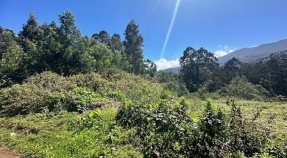Terrain à bâtir à São Jorge de 1 520 m²