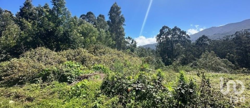 Terrain à bâtir à São Jorge de 1 520 m²
