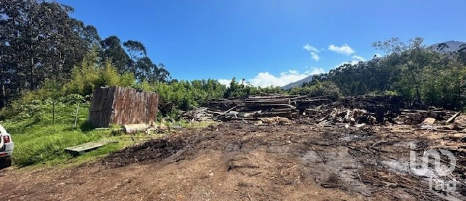 Terrain à bâtir à São Jorge de 1 520 m²