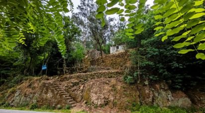 Maison de village T2 à Freigil e Miomães de 60 m²