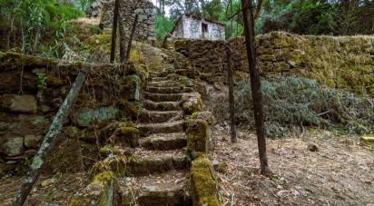 Maison de village T2 à Freigil e Miomães de 60 m²