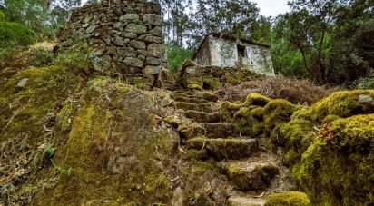 Maison de village T2 à Freigil e Miomães de 60 m²