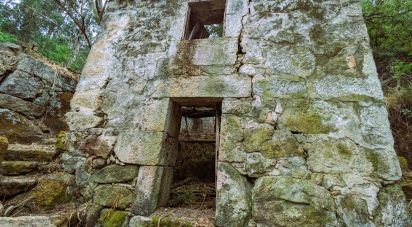 Maison de village T2 à Freigil e Miomães de 60 m²