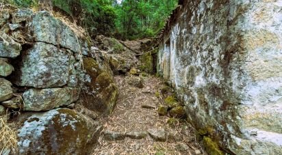 Maison de village T2 à Freigil e Miomães de 60 m²