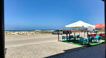 Shop / premises commercial in Vieira de Leiria of 101 m²