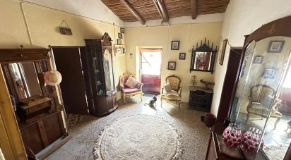 Maison T3 à São Bartolomeu de Messines de 690 m²