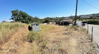 Maison T3 à São Bartolomeu de Messines de 690 m²