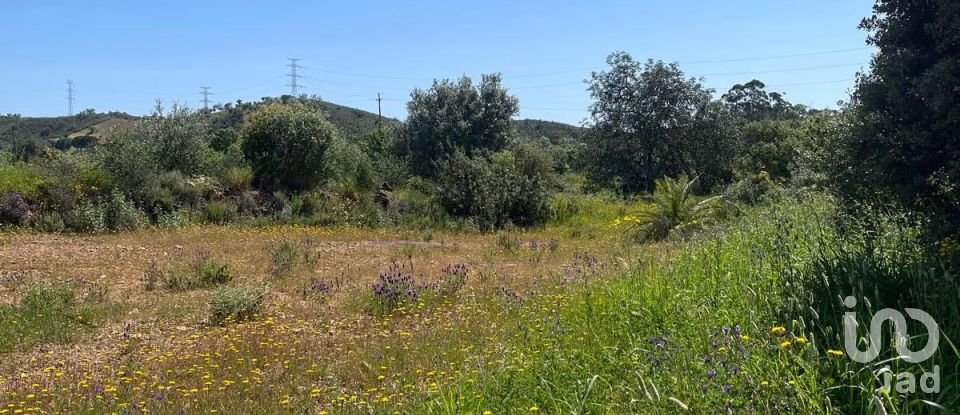 Maison T3 à São Bartolomeu de Messines de 690 m²