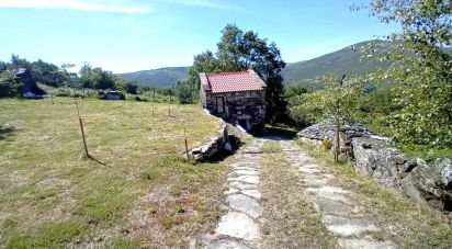 Maison T1 à Riba de Mouro de 60 m²