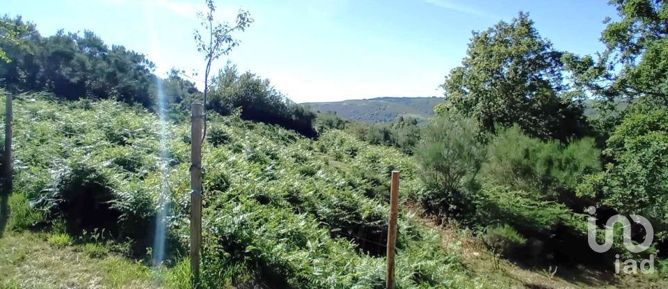 Moradia T1 em Riba de Mouro de 60 m²