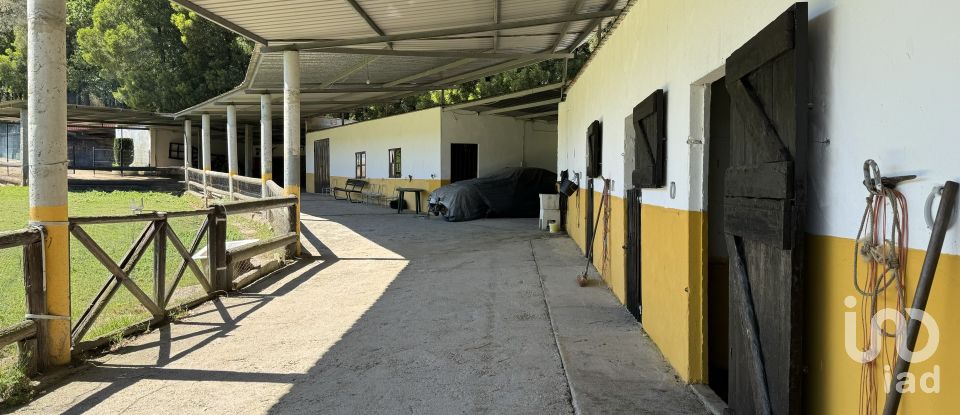 Farm T18 in Cerdal of 912 m²