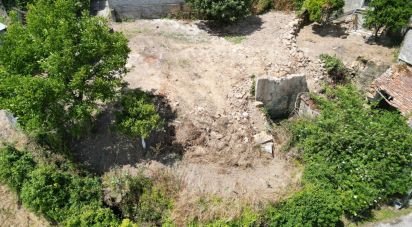 Gîte T3 à Lamas de 168 m²