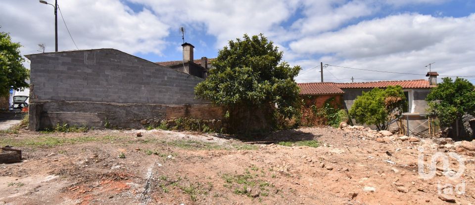 Lodge T3 in Lamas of 168 m²