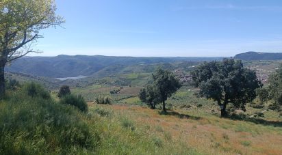 Terrain à Freixo de Espada à Cinta e Mazouco de 49 572 m²