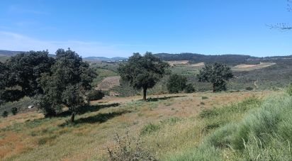 Terrain à Freixo de Espada à Cinta e Mazouco de 49 572 m²