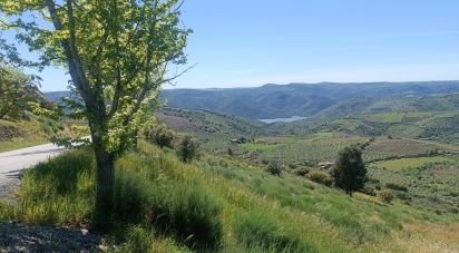 Terrain à Freixo de Espada à Cinta e Mazouco de 49 572 m²