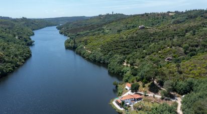 Gîte T3 à Currelos, Papízios e Sobral de 135 m²