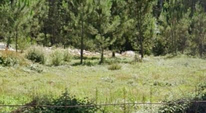 Terrain à Vila Seca de 11 818 m²