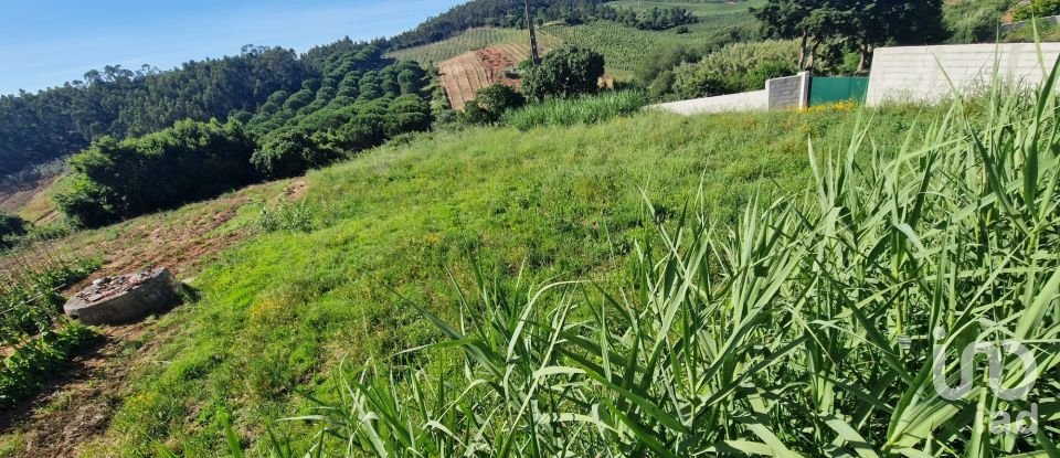 Terrain à bâtir à Cadaval e Pêro Moniz de 888 m²