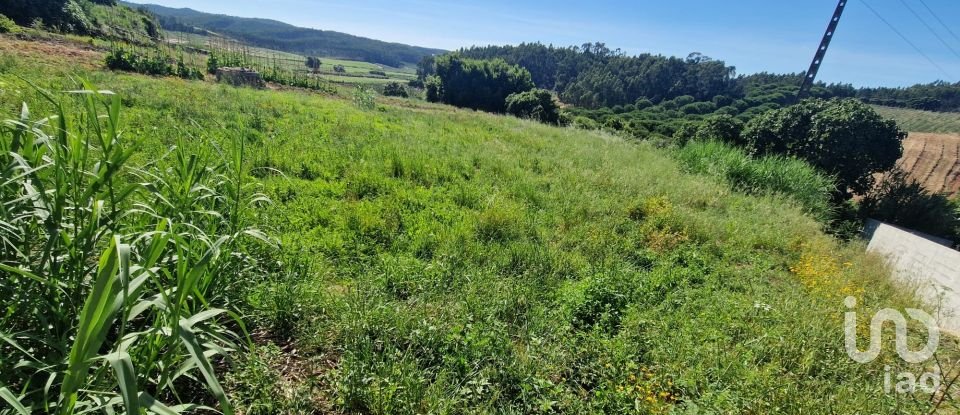 Terrain à bâtir à Cadaval e Pêro Moniz de 888 m²
