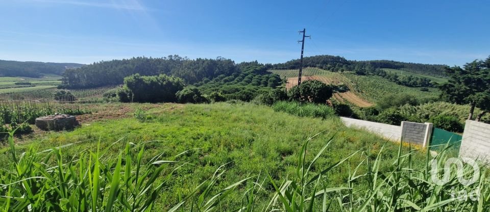 Terrain à bâtir à Cadaval e Pêro Moniz de 888 m²