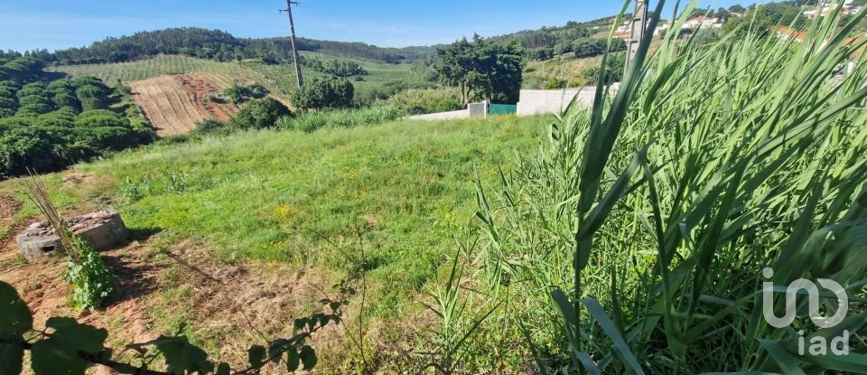 Terrain à bâtir à Cadaval e Pêro Moniz de 888 m²