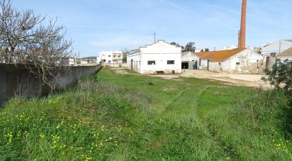 Murs commerciaux à Estômbar e Parchal de 6 900 m²