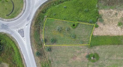 Terrain à Miranda do Corvo de 1 840 m²