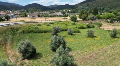 Terrain à Miranda do Corvo de 1 840 m²