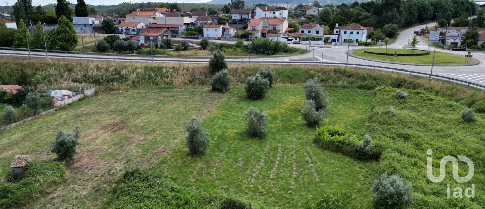 Terrain à Miranda do Corvo de 1 840 m²