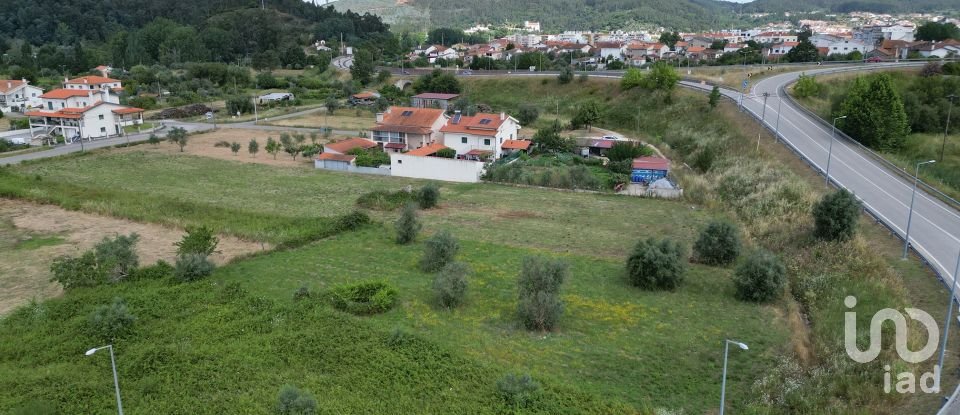 Terrain à Miranda do Corvo de 1 840 m²