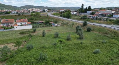 Terrain à Miranda do Corvo de 1 840 m²