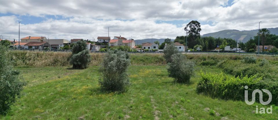 Terrain à Miranda do Corvo de 1 840 m²
