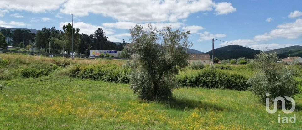 Terrain à Miranda do Corvo de 1 840 m²