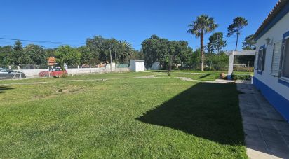 Maison T4 à Azeitão (São Lourenço e São Simão) de 152 m²