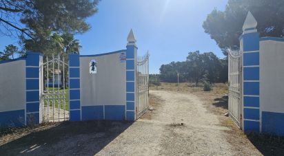 Maison T4 à Azeitão (São Lourenço e São Simão) de 152 m²