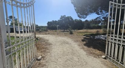 Maison T4 à Azeitão (São Lourenço e São Simão) de 152 m²