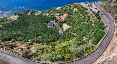 Terrain à Arco da Calheta de 2 295 m²