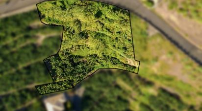 Terrain à Arco da Calheta de 2 295 m²