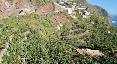 Terrain à Arco da Calheta de 2 295 m²