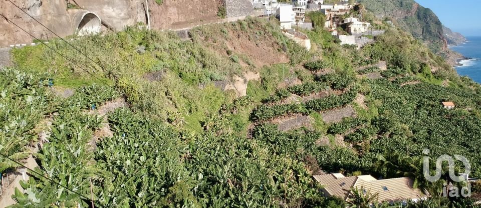 Land in Arco da Calheta of 2,295 m²