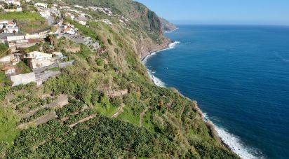 Terrain à Arco da Calheta de 2 295 m²