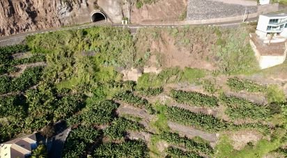 Terrain à Arco da Calheta de 2 295 m²